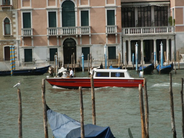 Click for the original image