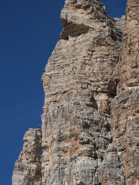 Click for the original image